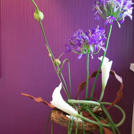 Logis & Restaurant Les Perce-neige